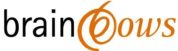 brainbows informationsmanagement gmbh